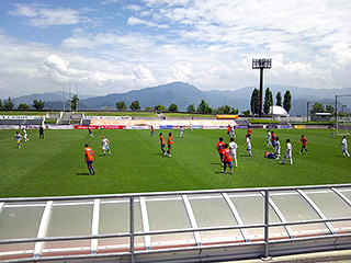 どんどん増えるよ